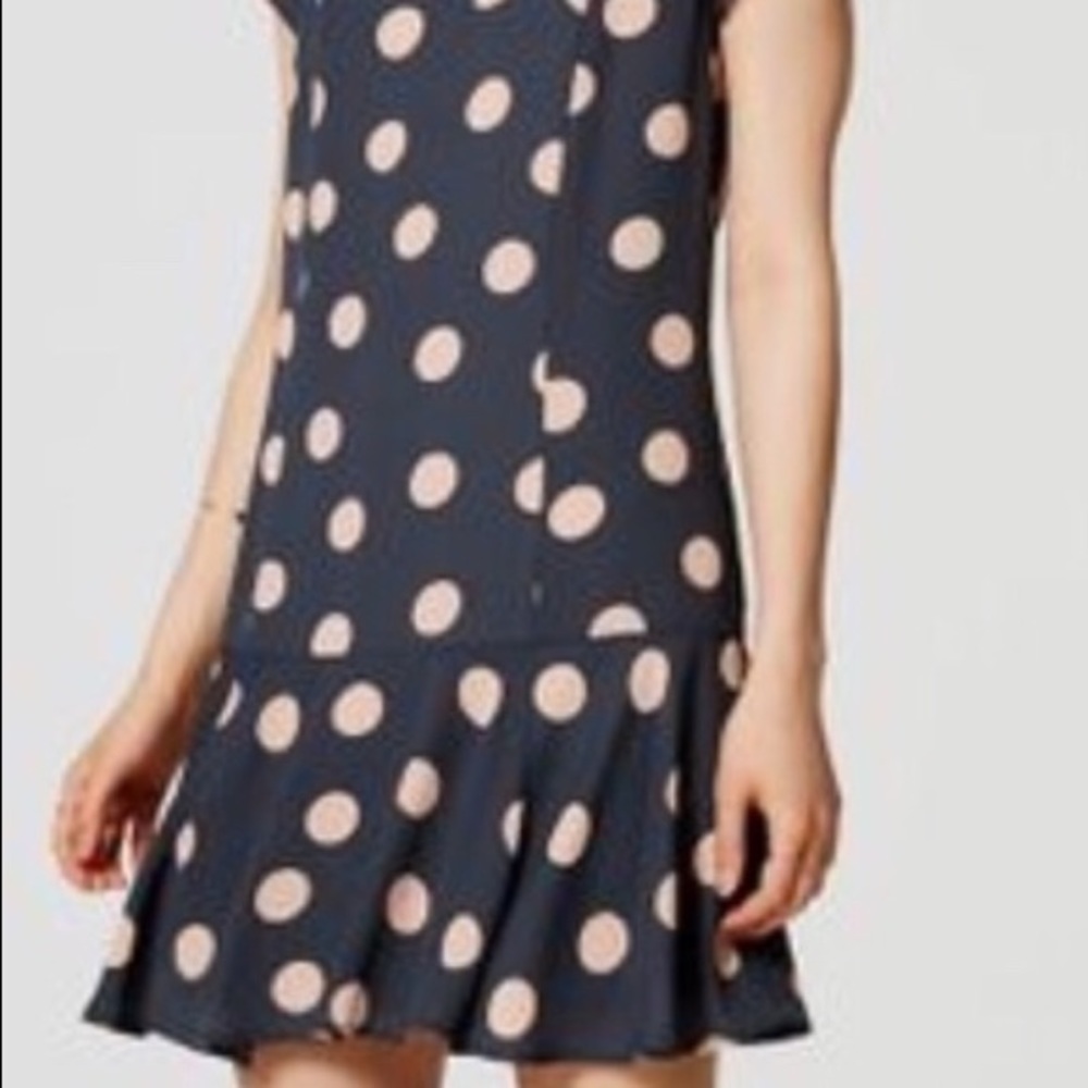 Loft Flounce Dot Dress